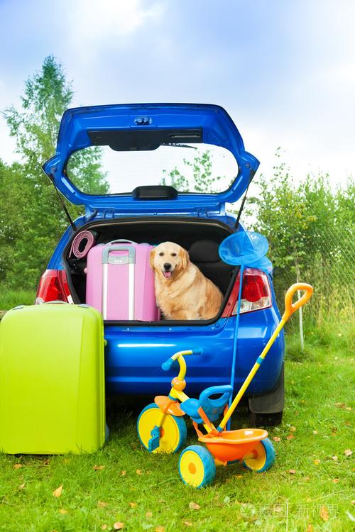 狗, 箱包, 玩具, 汽车准备的旅行照片-正版商用图片1d992m-摄图新视界